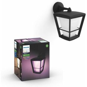 Philips Hue 1744030V7 Econic Smart Outdoor White and Color Wall Lamp - Alexa - Apple Homekit - Google Assistant - Black