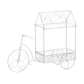 VINTAGE BICYCLE PLANT HOUSE